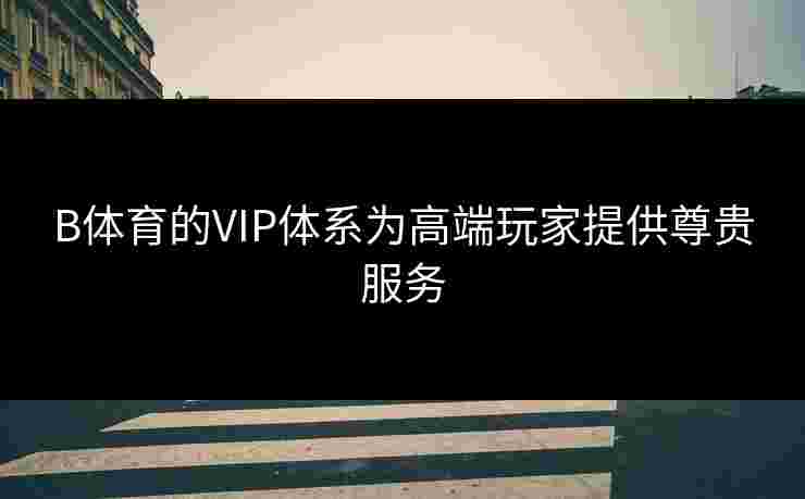 B体育的VIP体系为高端玩家提供尊贵服务